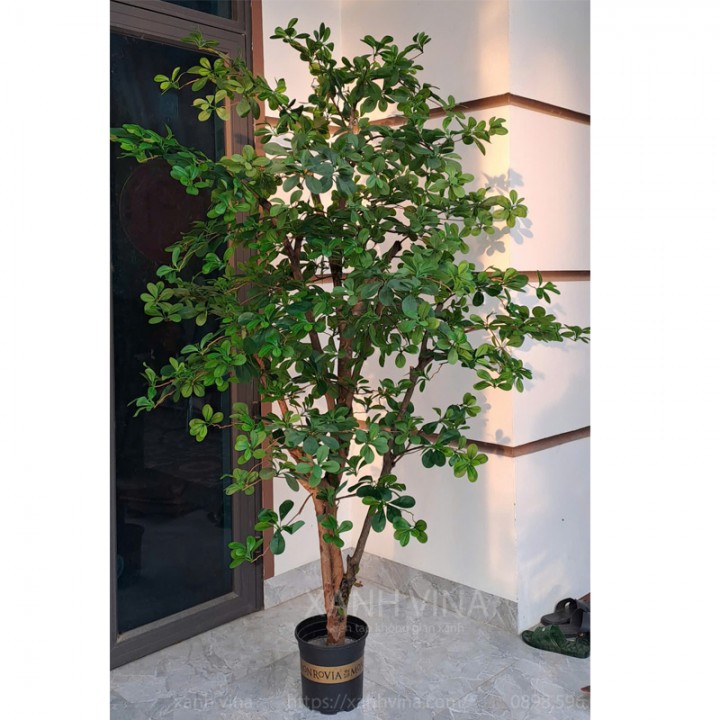 Cây giả decor thiên lộc 250cm